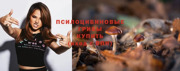 бошки Нея