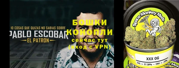бошки Нея