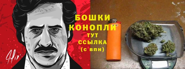 шишки Нефтекумск