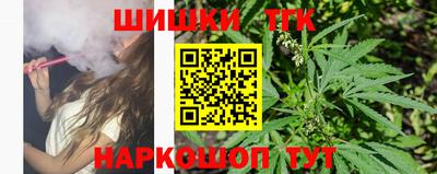 сатива Краснознаменск