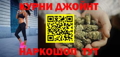 сатива Краснознаменск