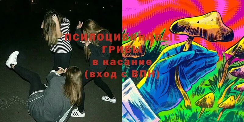 Галлюциногенные грибы Magic Shrooms  OMG зеркало  Мегион 