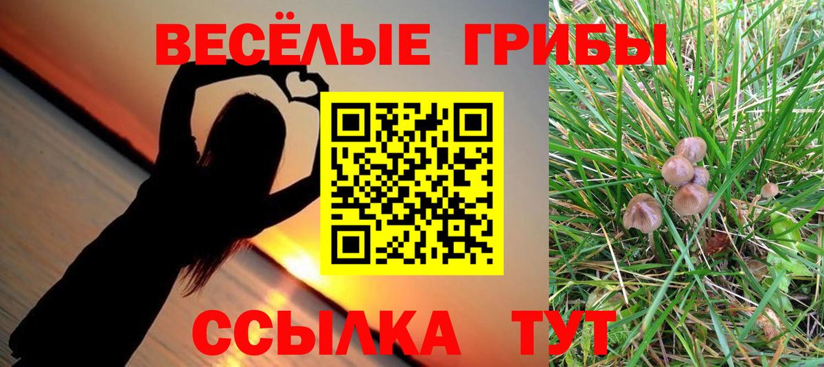 Галлюциногенные грибы Cubensis  Галлюциногенные грибы мухоморы  Мегион  Вход с VPN 