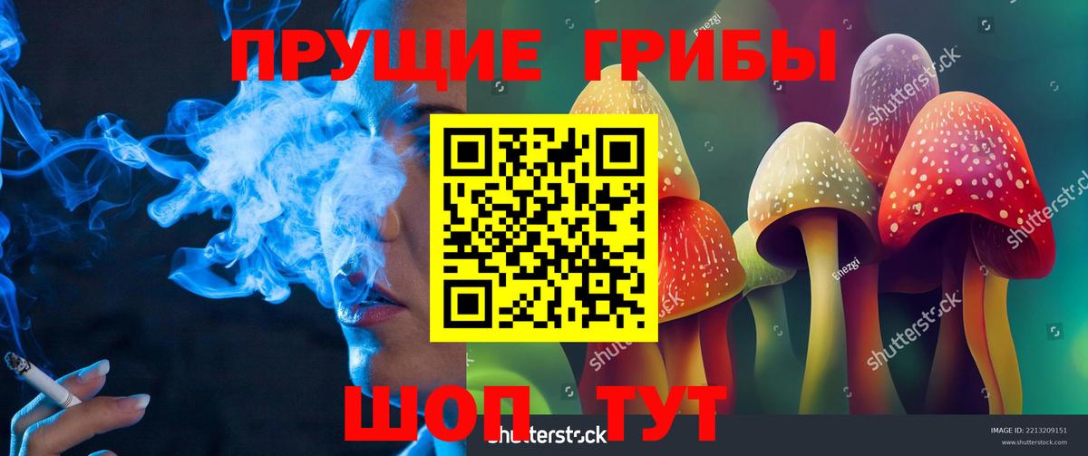 Галлюциногенные грибы Cubensis Мегион